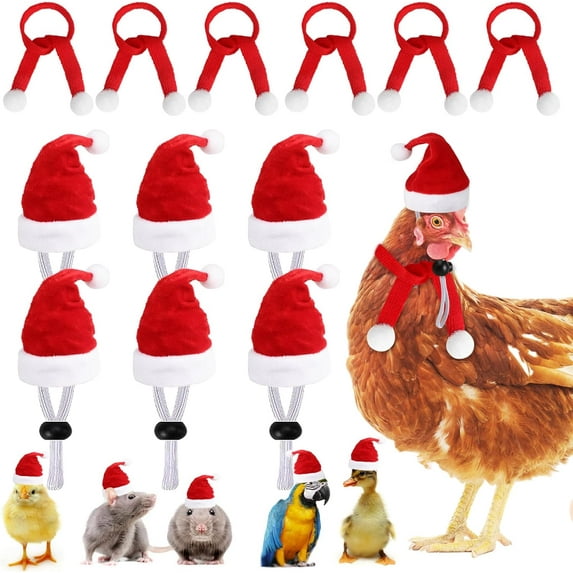 Dalrosia 12PCS Christmas Pet Chicken Hat Scarf Set Mini Santa Hat Scarf Xmas Small Animal Hat Clothes with Adjustable Chin Strap for Hen Duck Hamster Guinea Pig Kitty Puppy Parrot