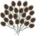 thumbnail image 1 of Dalrosia 20PCS Christmas Pine Cones Decorations Picks - Snow Pine Cone for Xmas Tree Garland Wreath Ornaments Pinecones Decorating Winter Holidays Home, 1 of 6
