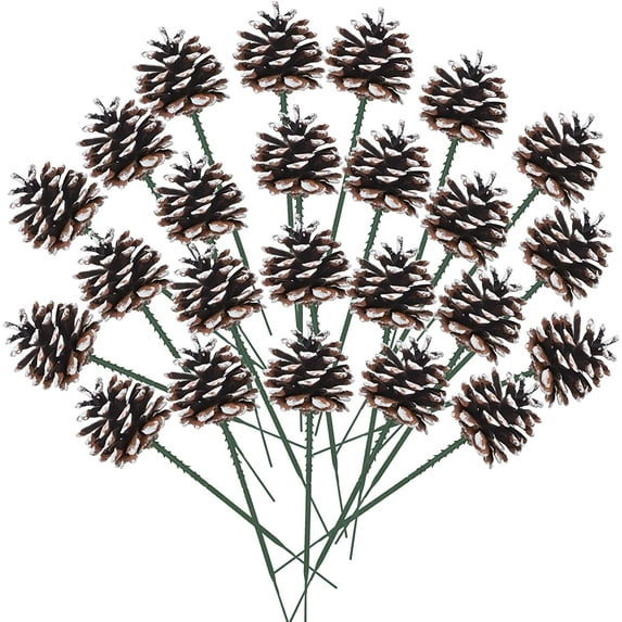 Dalrosia 20PCS Christmas Pine Cones Decorations Picks - Snow Pine Cone for Xmas Tree Garland Wreath Ornaments Pinecones Decorating Winter Holidays Home