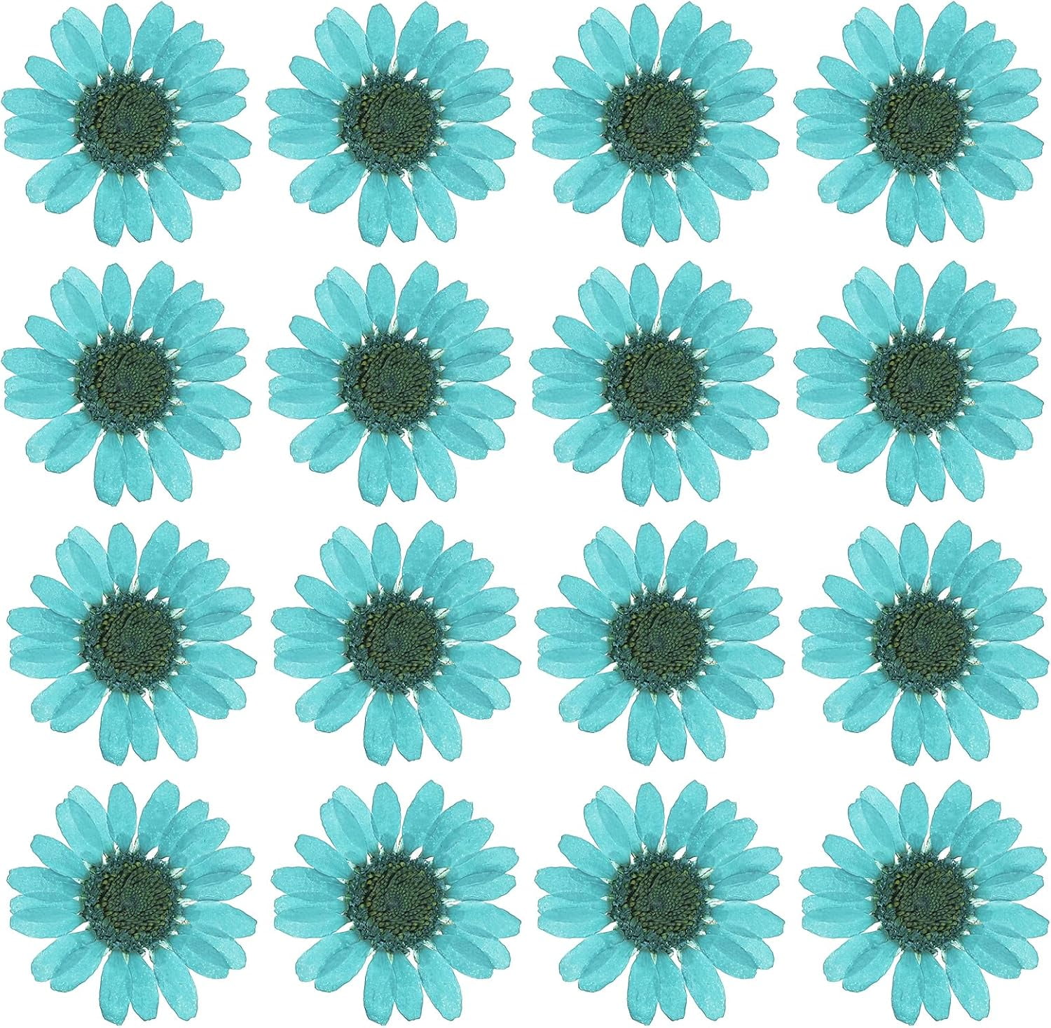 Dalrosia 48PCS Dried Daisy Flower, Vacuum Packaging, Pressed Flower for House Decoration, Jewelry Making, Phone case Decoration
