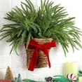 thumbnail image 1 of Dalrosia Christmas Norfolk Pine Wreath Christmas Wreaths for Front Door Hanging Basket Christmas Kitchen Cabinet Wreaths with Red Ribbon Farmhouse Rustic Xmas Pine Wreath for Window Wall, 1 of 6