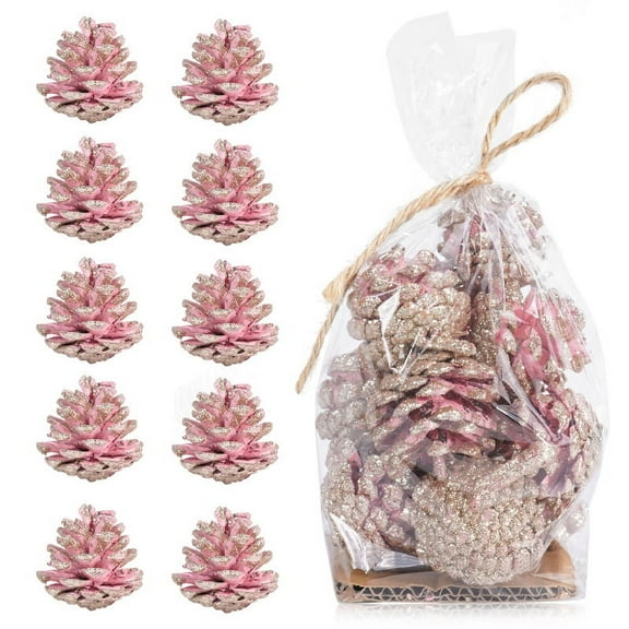 Dalrosia Christmas Pine Cones Natural Mini Pine Cones Christmas Snow Pine Cones Ornaments for Home Decoration Fall and Christmas Crafts, 3 Sizes