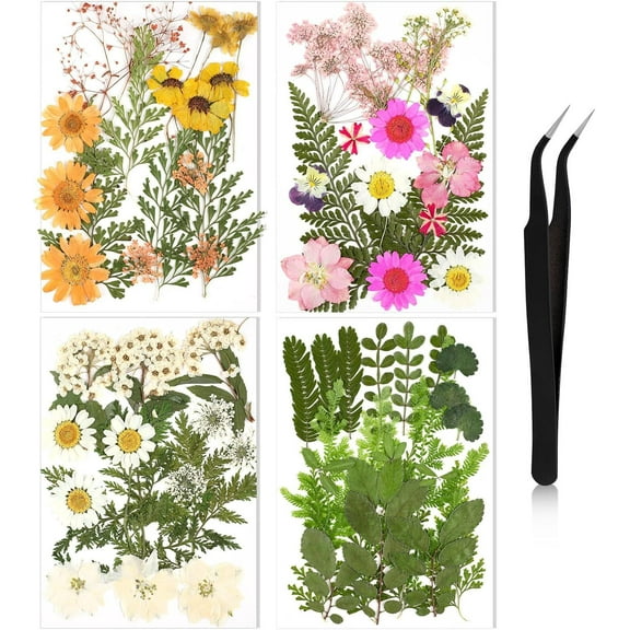 Dalrosia Dried Flowers for Resin, 66pcs Bulk Real Natural Pressed Flowers for DIY Art Crafts, Epoxy Jewelry, Candle, Soap Making, Nails Decor, Phone Case