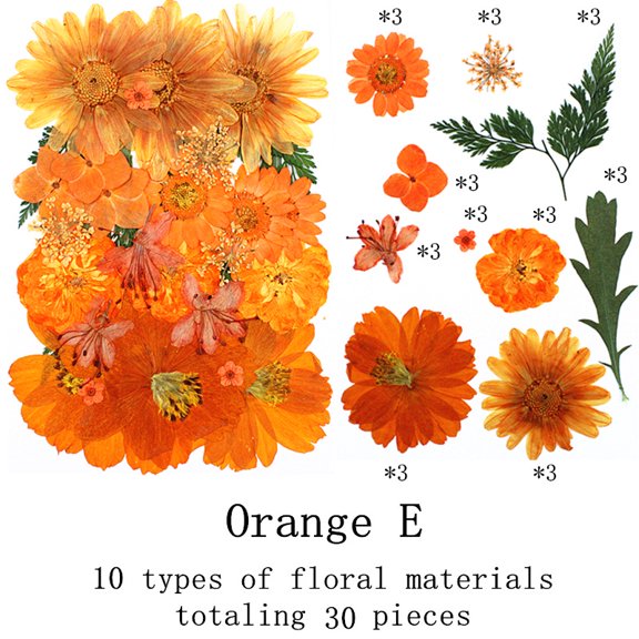 Dalrosia Fall Dried Pressed Flowers Orange Pressed Fall Leaves for Crafts Resin Molds Real Red Brown Yellow Pressed Leaves for Scrapbooking, Epoxy Resin Supplies