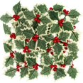 thumbnail image 1 of Dalrosia Holly Berries with Green Leaves, 20PCS Artifical Red Holly Berry Flowers for Christmas Tree/Wreath Arrangement Decorations, Red Berry Christmas Picks for Crafts Gifts Wedding Party Decor, 1 of 6