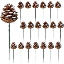 Dalrosia Pinecones Natural Christmas Pine Cones for Christmas Tree with Wired Pick Pine Cones Decorations Home Holiday Party DIY Craft Pinecones Rustic Pine Cones