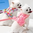 thumbnail image 1 of Dalrosia Puppy Dog Harness and Leash Set Purple Lace Floral Dog Vest Harness for Small Dogs Cute Soft Mesh Escape Proof Pet Cat Vest Harness, 1 of 8