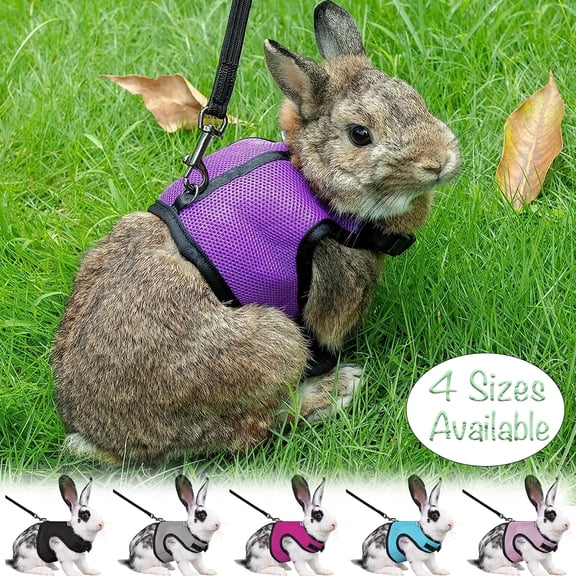 Dalrosia Rabbit Harness and Leash, Adjustable Buckle Breathable Mesh Vest Harness and Leash Set for Cats Small Pets Walking