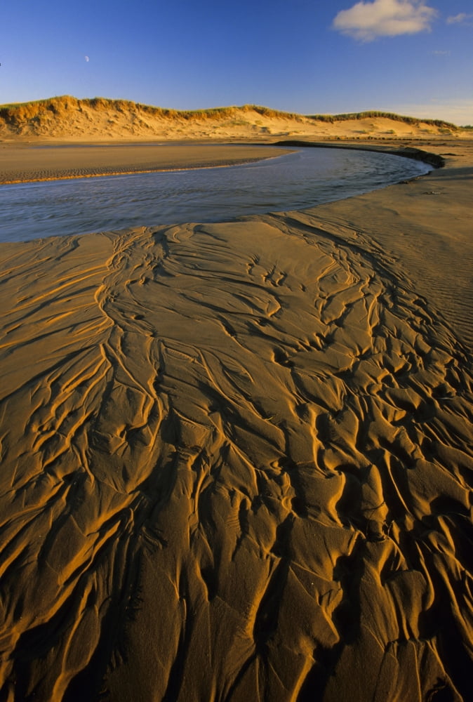 Dalvay Beach Prince Edward Island National Park Canvas Art - John Sylvester Design Pics (11 x 17)