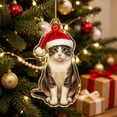 thumbnail image 1 of Dalxymotic Christmas Pet Acrylic Pendant, Christmas Acrylic Hanging Ornaments, Flat Printed Pet Pendant, Cute Ornament, Christmas Tree Decoration for Home, Mantel, Bookshelf, Desk, 1 of 8