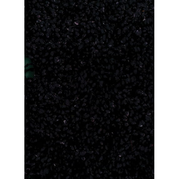 Dalyn Belize Shag Area Rug BZ100 Plum Solid Shag 5' x 7' 6" Rectangle