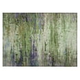 thumbnail image 1 of Dalyn Rugs Machine Washable Indoor/Outdoor Chantille ACN2035 Green 1'8" x 2'6" Rug, 1 of 7