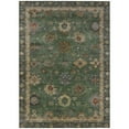 thumbnail image 1 of Dalyn Rugs Machine Washable Indoor/Outdoor Chantille ACN2045 Fern 8' x 10' Rug, 1 of 9