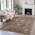 thumbnail image 1 of Addison Rugs Chantille Indoor/Outdoor Traditional Global Brown Machine Washable Rectangle Rug, 3' x 5', 1 of 8