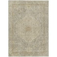 thumbnail image 1 of Dalyn Rugs Machine Washable Indoor/Outdoor Chantille ACN2136 Beige 8' x 10' Rug, 1 of 9