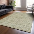 thumbnail image 1 of Addison Rugs Chantille Indoor/Outdoor Transitional Stripes Sage Machine Washable Rectangle Rug, 10' x 14', 1 of 8
