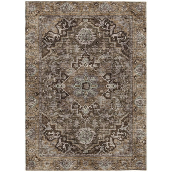 Dalyn Rugs Machine Washable Indoor/Outdoor Chantille ACN2165 Brown 10' x 14' Rug