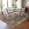 thumbnail image 1 of Addison Rugs Chantille Indoor/Outdoor Traditional Global Brown Machine Washable Rectangle Rug, 5' x 7'6", 1 of 8