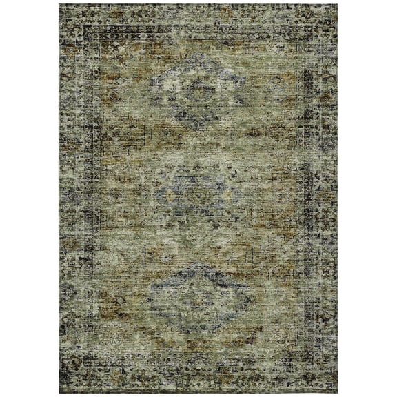 Dalyn Rugs Machine Washable Indoor/Outdoor Chantille ACN2170 Aloe 10' x 14' Rug