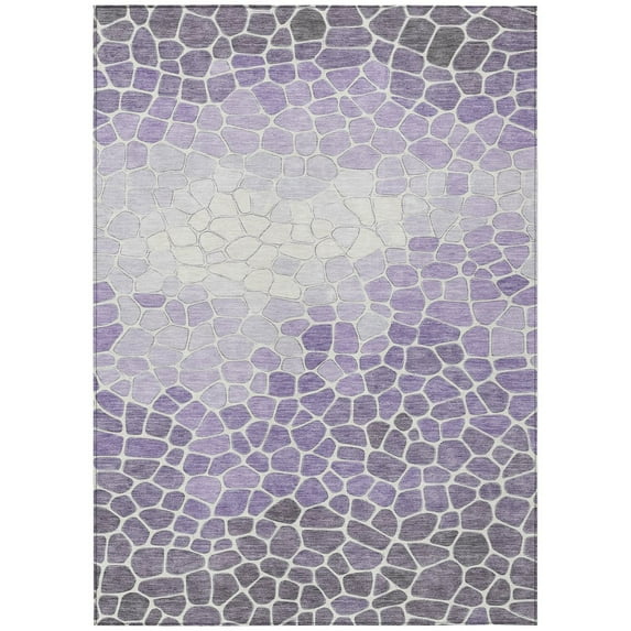 Dalyn Rugs Machine Washable Indoor/Outdoor Chantille ACN2190 Purple 5' x 7'6" Rug