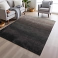 thumbnail image 1 of Addison Rugs Chantille Indoor/Outdoor Transitional Ombre Black Machine Washable Rectangle Rug, 8' x 10', 1 of 8
