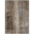 thumbnail image 1 of Dalyn Rugs Machine Washable Indoor/Outdoor Chantille Brown 10' x 14' Rug, 1 of 9