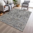 thumbnail image 1 of Addison Rugs Chantille Indoor/Outdoor Traditional Global Gray Machine Washable Rectangle Rug, 3' x 5', 1 of 8