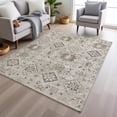 thumbnail image 1 of Addison Rugs Chantille Indoor/Outdoor Traditional Global Linen Machine Washable Rectangle Rug, 8' x 10', 1 of 8