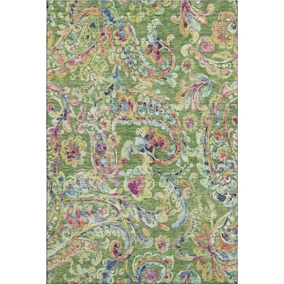 HomeRoots 666956 10 x 14 ft. Fern Green Blue & Pink Paisley Washable Machine Made Rectangle Area Rug with UV Protection