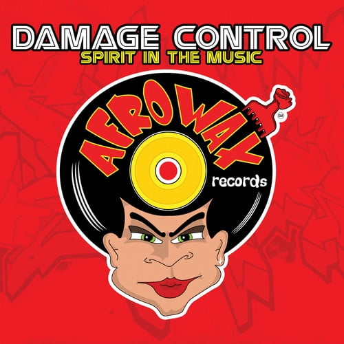 Damage Control - Spirit in the Music - House - CD