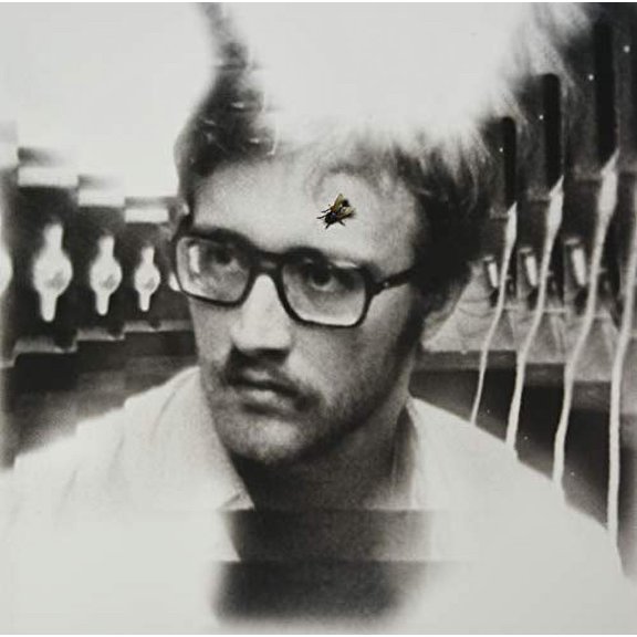 Damaged Bug Bug On Yonkers LP