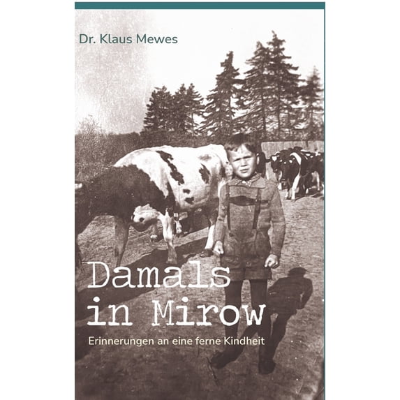 Damals in Mirow: Erinnerungen an eine ferne Kindheit (Hardcover)
