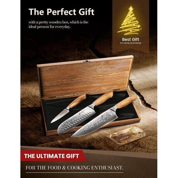 Damascus Kitchen Knife Set, 3 PCS Japanese Chef Knife Set, 67-Layers Damascus Knife with Olive Wood Handle, Include Wooden Gift Box