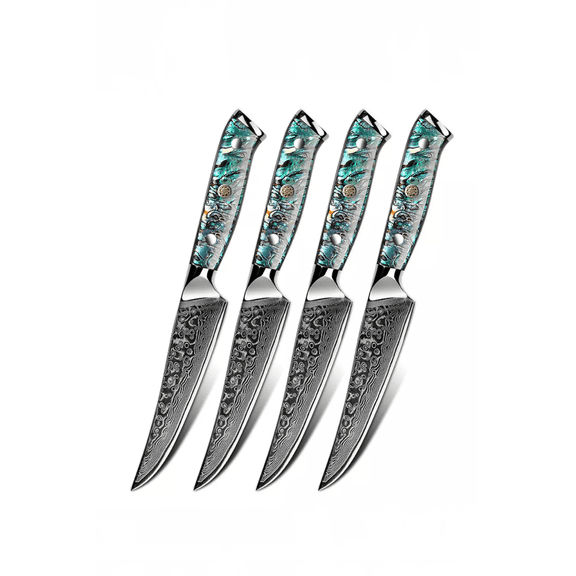 Damascus Steak Knife Set Of 4 - TransShell