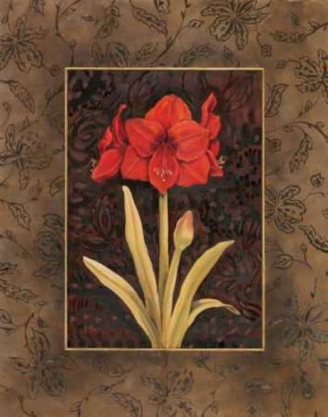 Damask Amaryllis Canvas Art - Paul Brent (22 x 28)