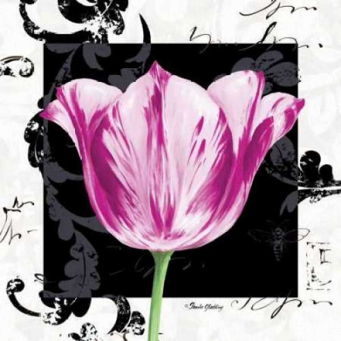 Damask Tulip I Canvas Art - Pamela Gladding (24 x 24)