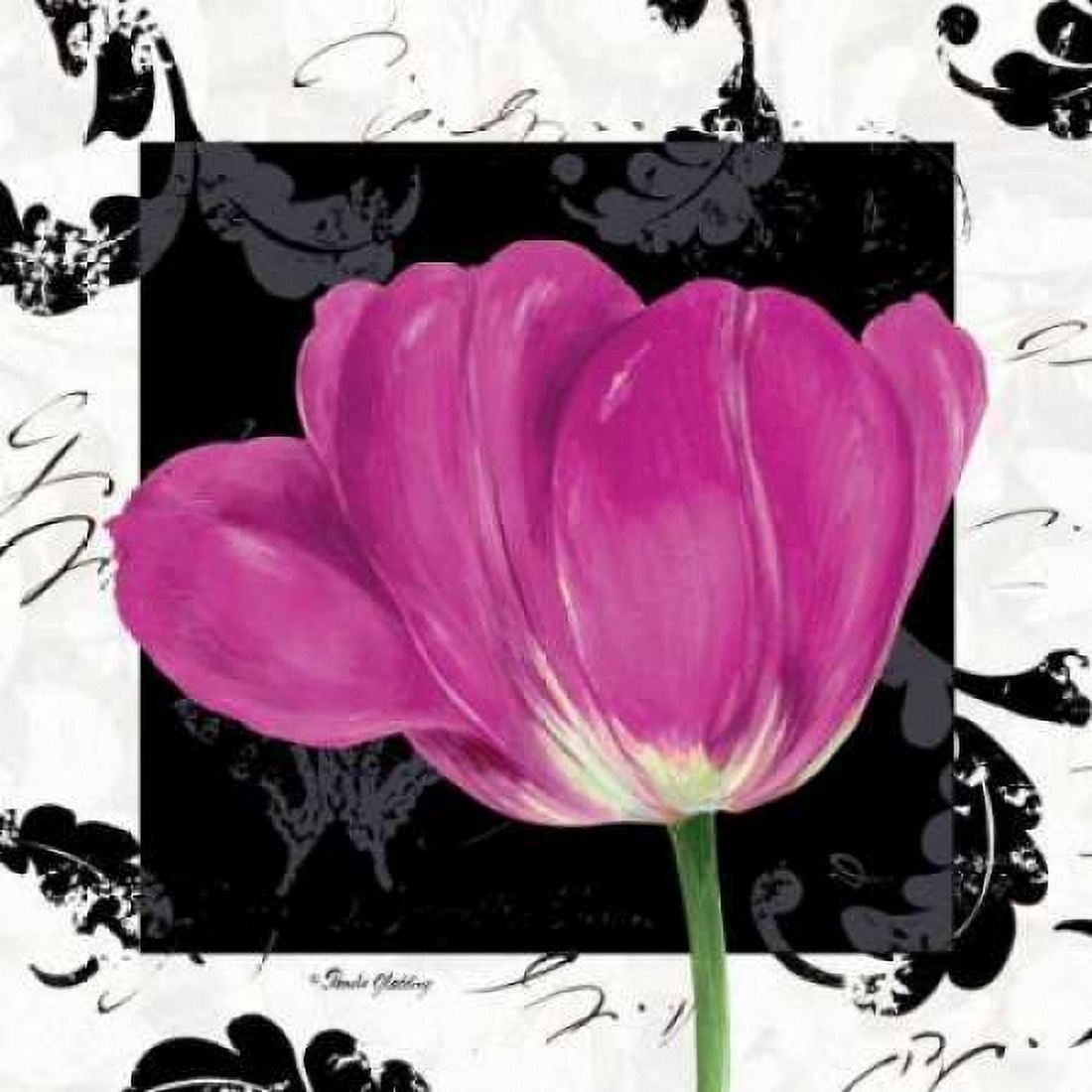 Damask Tulip II Canvas Art - Pamela Gladding (24 x 24)