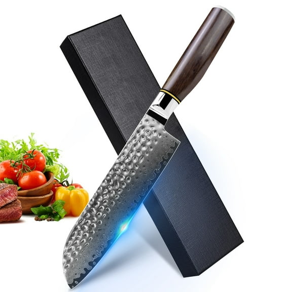 Damasus Chef Knife Sharp Santoku Knife with Giftcase,Japanese 67-Layers VG-10 Steel Core Hammered Blade Slicing Knife for Meat,Fish and Vegetable