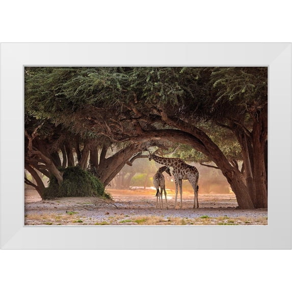 Damico, Giuseppe 18x13 White Modern Wood Framed Museum Art Print Titled - Giraffe - Namibia