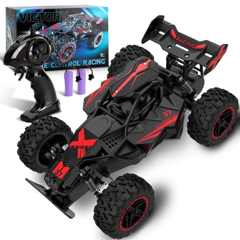 Dammyty Remote Control Car, 1:18 High Speed RC Cars for Kids, Racing Toys for Boys & Girls