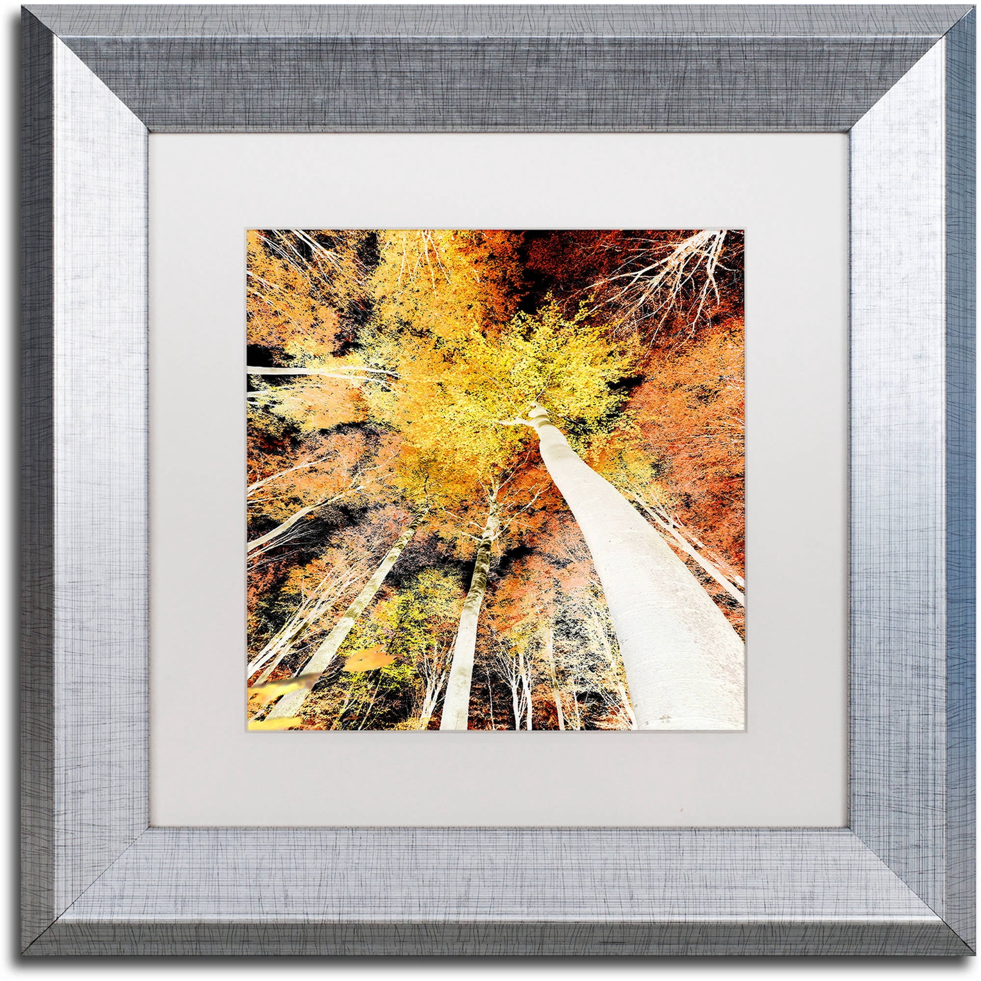 "Damn Nation" Canvas Art by Philippe Sainte-Laudy White Matte, Silver Frame