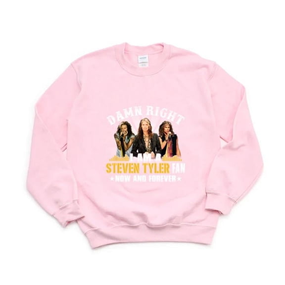 Damn Right I Am A Steven Fan Rock Music Legend Demon SweatShirt Unisex, up to 5XL