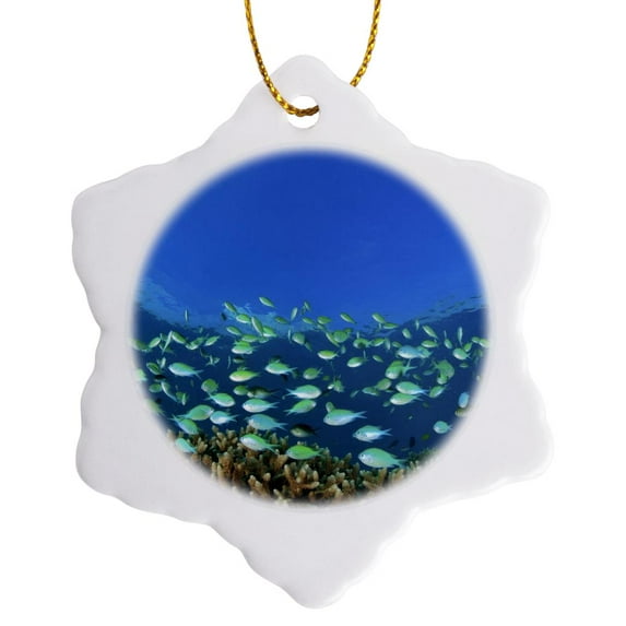3drose, Damselfish, Hard Corals, Palau, Micronesia - Oc16 Sws0052 - Stuart Westmorland, 3 inch Snowflake Porcelain Ornament