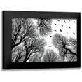 thumbnail image 1 of Damsten, Petri 24x17 Black Modern Framed Museum Art Print Titled - Out To The Open, 1 of 5
