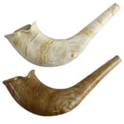 Dan As 21642 8.5 in. Natural Plastic Shofar