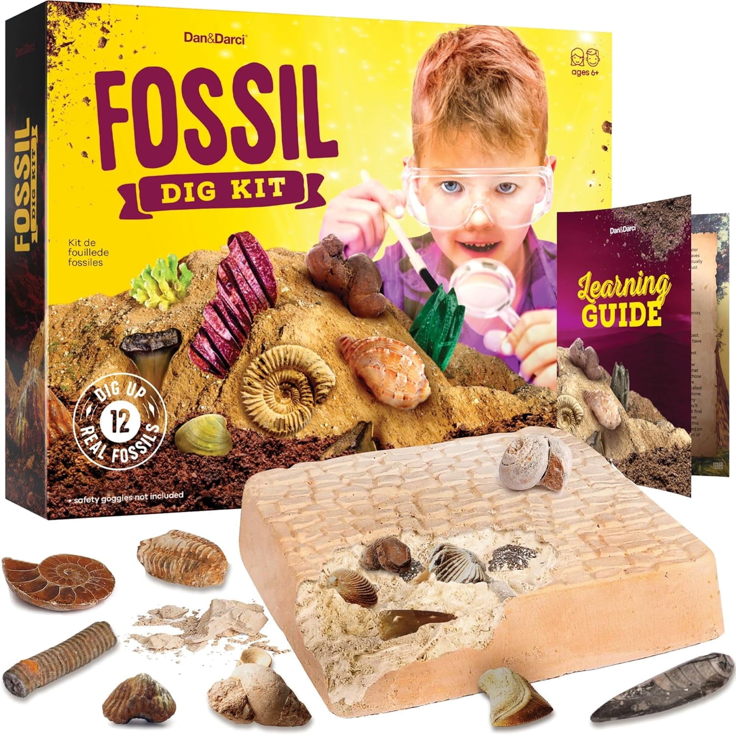 Dan&Darci Fossil Dig Kit for Kids - Mega Science Kits for Boys & Girls Age 8-13