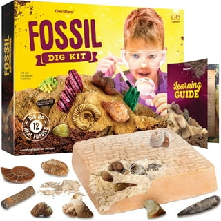 Science Kits in Science Walmart