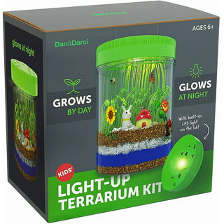 https://i5.walmartimages.com/seo/Dan-Darci-Light-Up-Terrarium-Kit-Kids-STEM-Activities-Science-Kits-Gifts-Educational-Christmas-Toys-Boys-Girls-Crafts-Projects-Gift-Ages-4-5-6-7-8-12_a6b21389-6b16-4353-9a09-ccca56334b53.46387c8a8102ee35b10581a24717c59b.jpeg?odnHeight=320&odnWidth=320&odnBg=FFFFFF