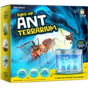 Dan&Darci Light-up Ant Farm Terrarium Kit for Kids – LED Ant Habitat for Live Ants with Nutrient Rich Gel - Watch Ants Dig Their Own Tunnels- Nature Learning, Science Toys, Gift for Boys & Girls