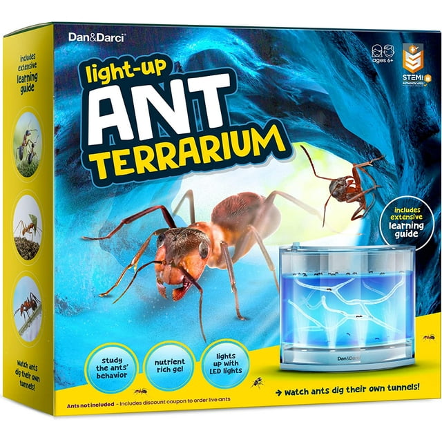 Dan&Darci Lightup Ant Farm Terrarium Kit for Kids LED Ant Habitat